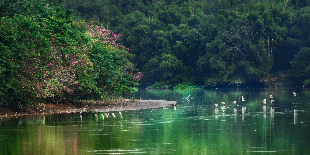 广州水故事 · 碧道山河图丨中国广州丨GZPI 景观与旅游规划设计所-33