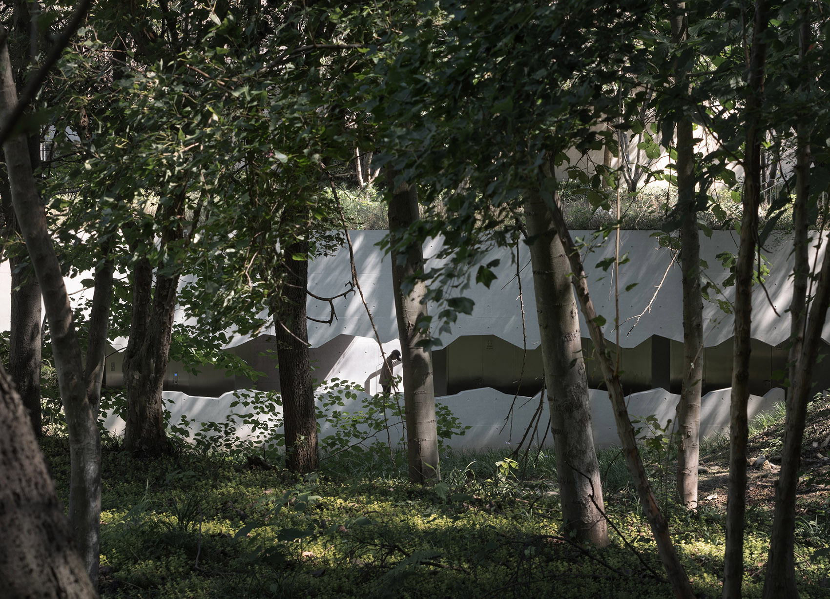 谷里的窗,树上的云,南京四方艺术湖区公共卫生间丨中国南京丨南京大学建筑规划设计研究院有限公司 物物建筑-122