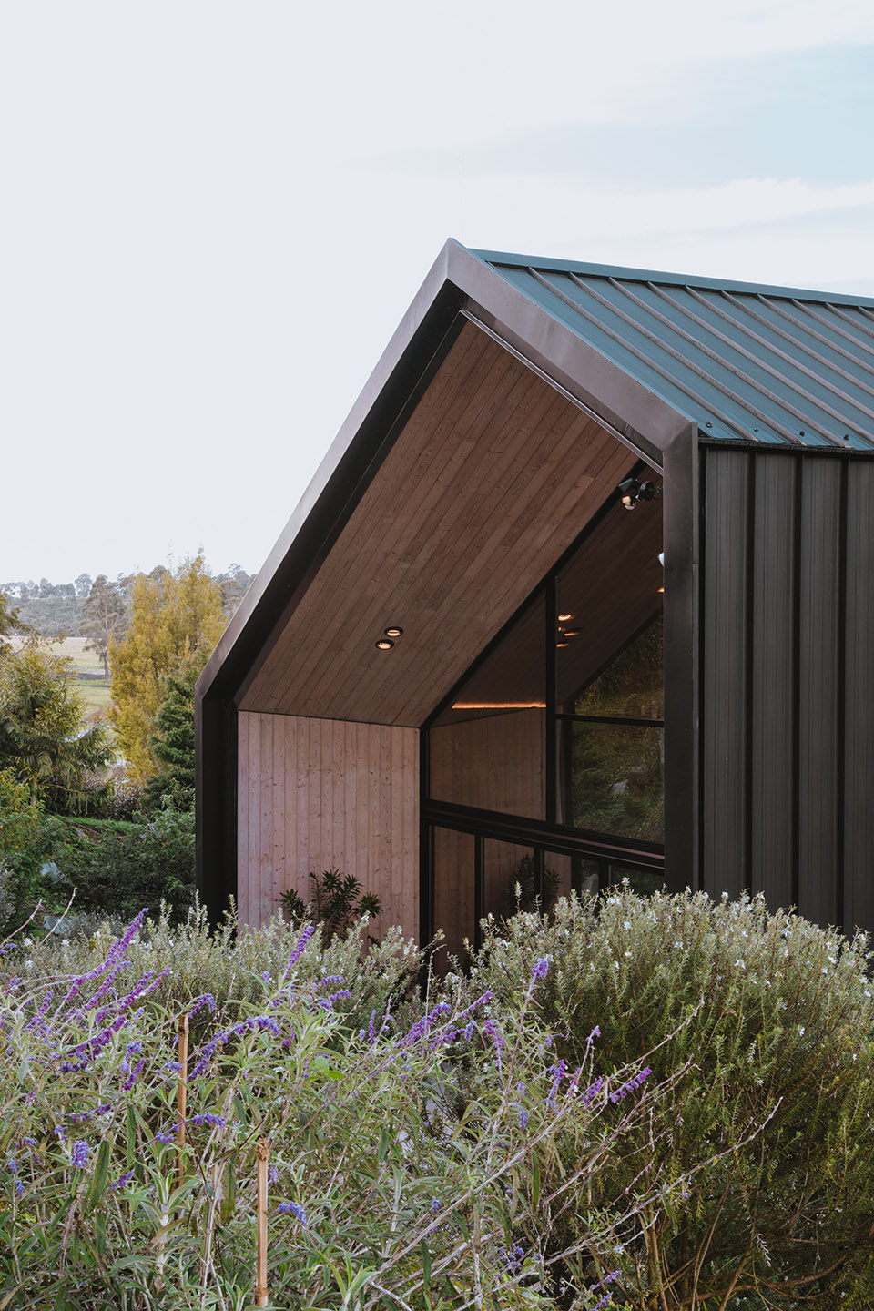 KRUPPA 住宅丨哥伦比亚丨Capa Arquitecture-46