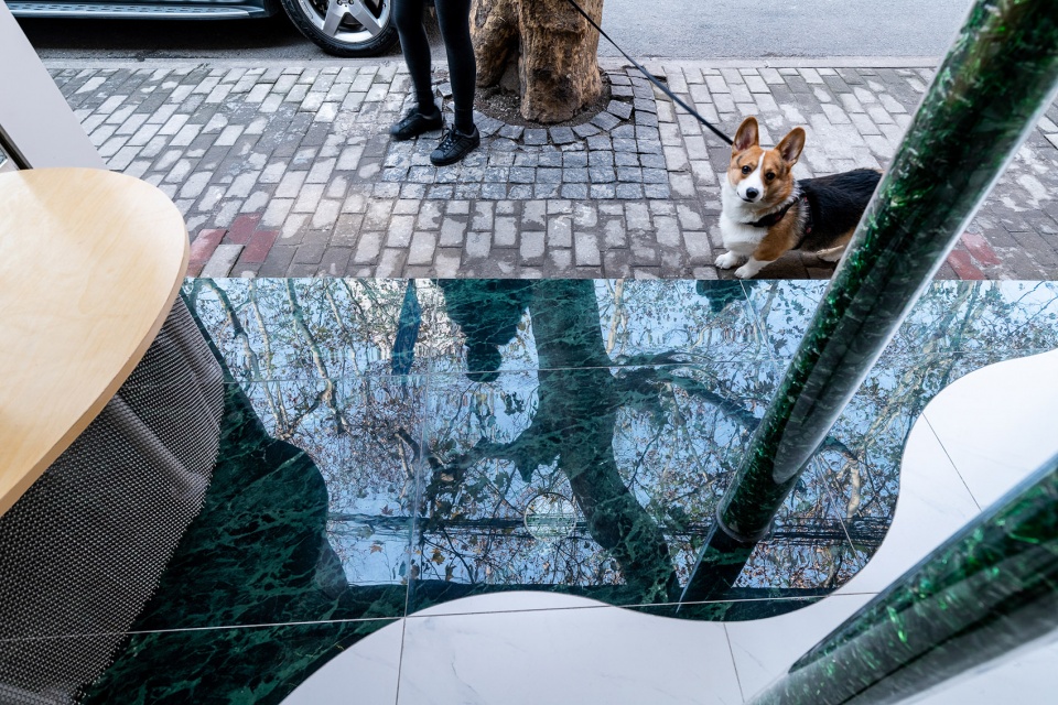 Mistea茶饮店丨mintwow-82