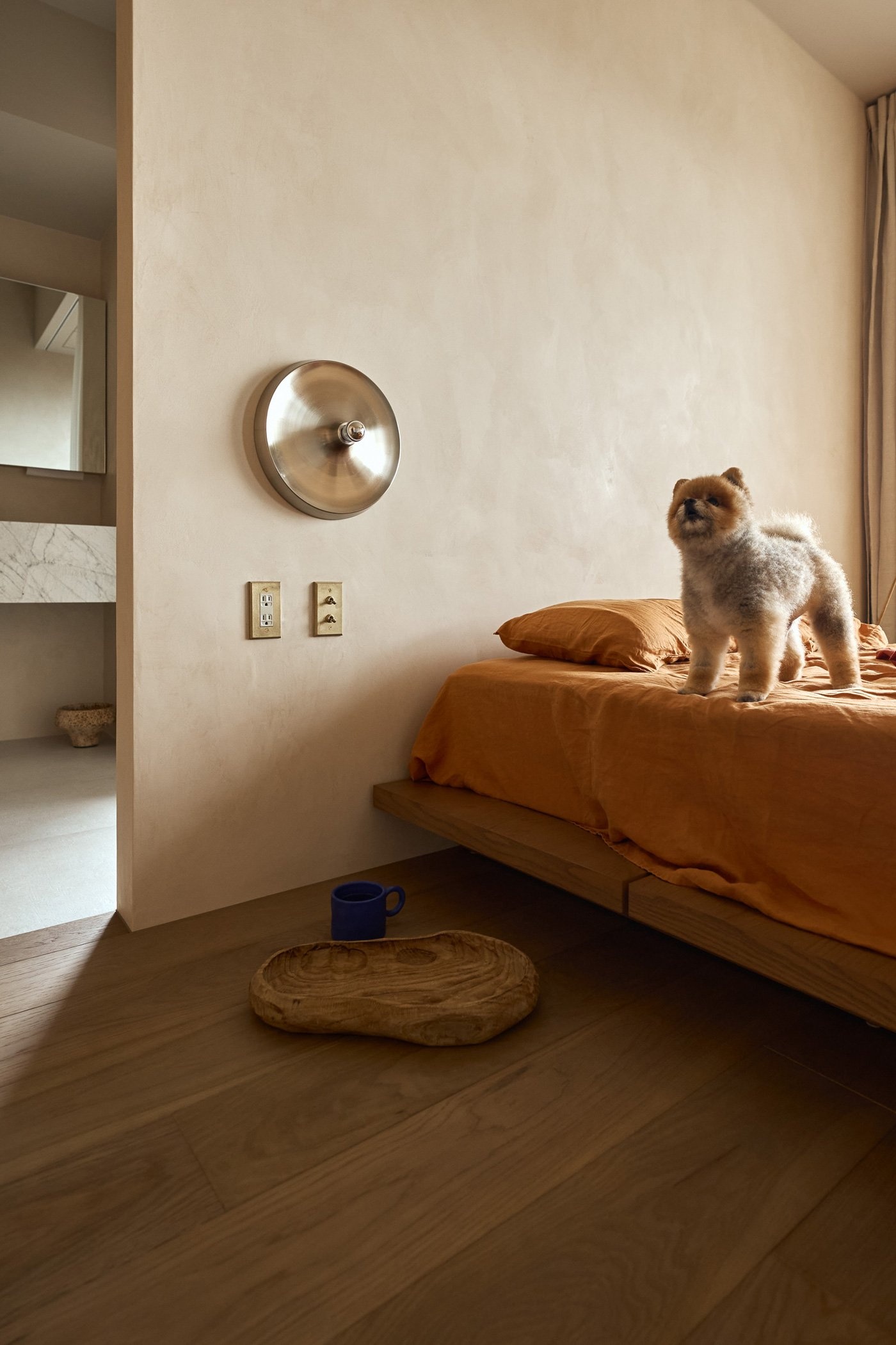 解构人猫共生的无界哲学-36