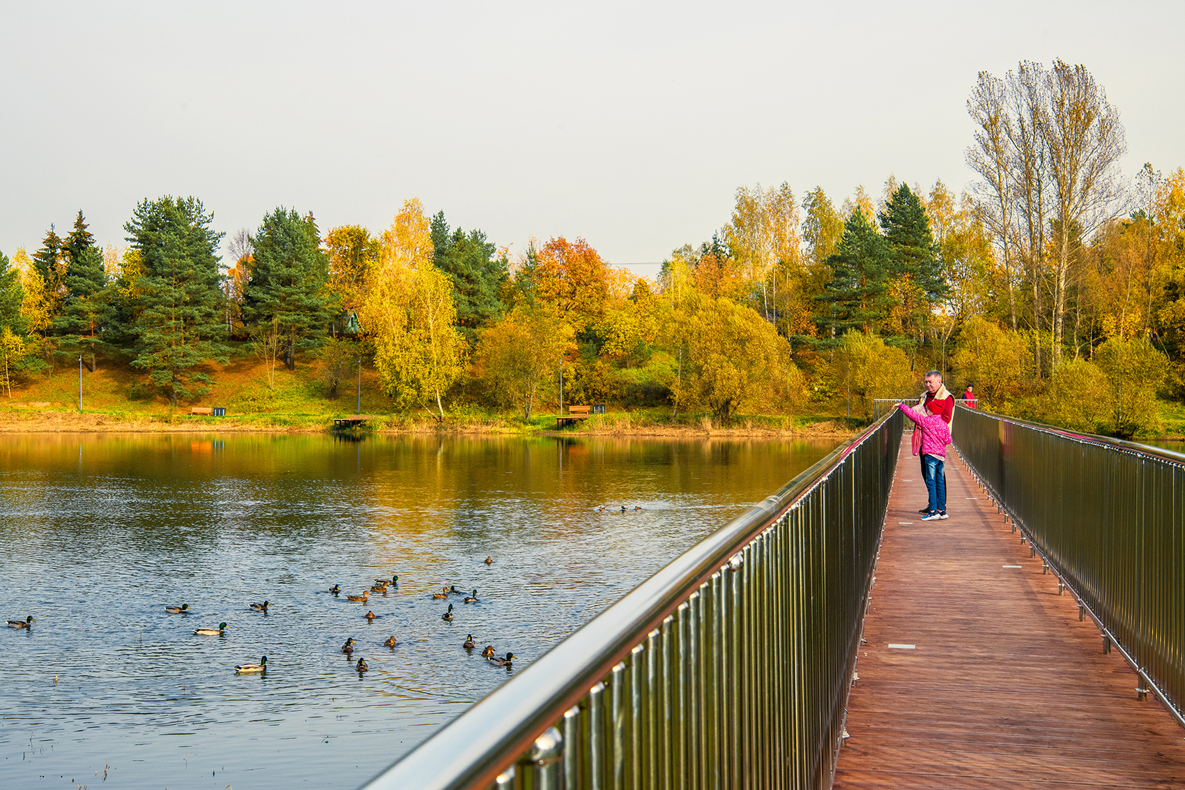 卡班湖景观设计丨俄罗斯莫斯科丨Mirror Group-22