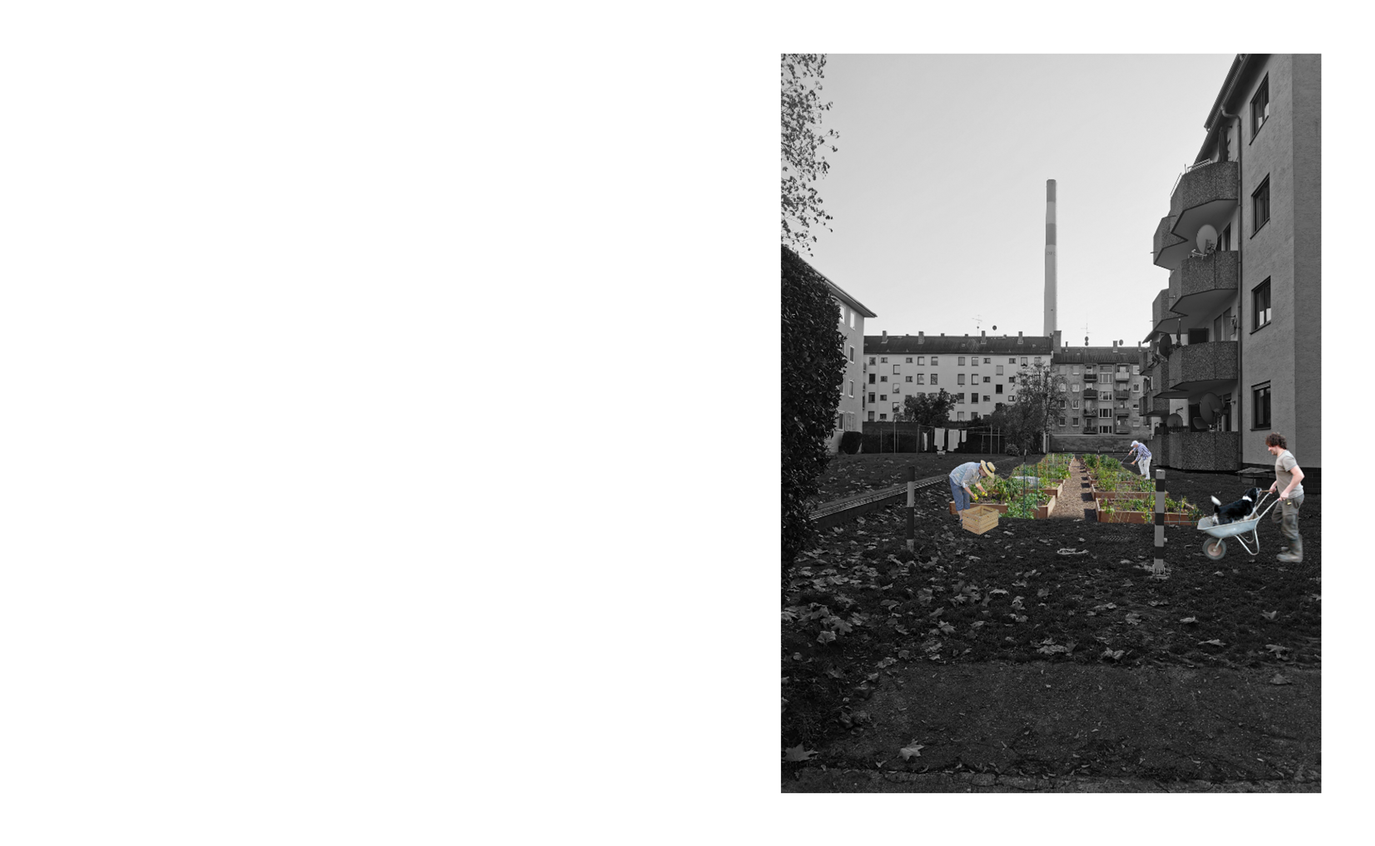 奥芬巴赫城市针灸疗法丨德国-38