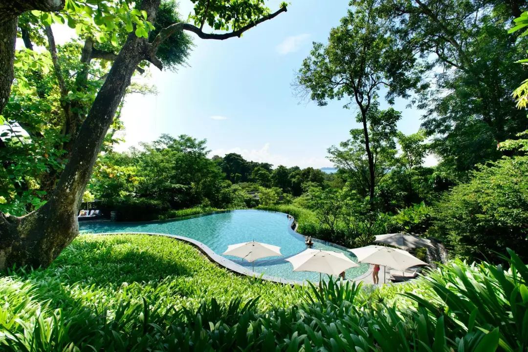 嘉佩乐酒店丨多个设计公司-142