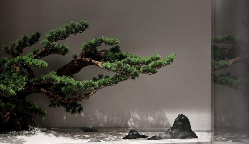 极奢主义 46m²空间打造小办公室-0