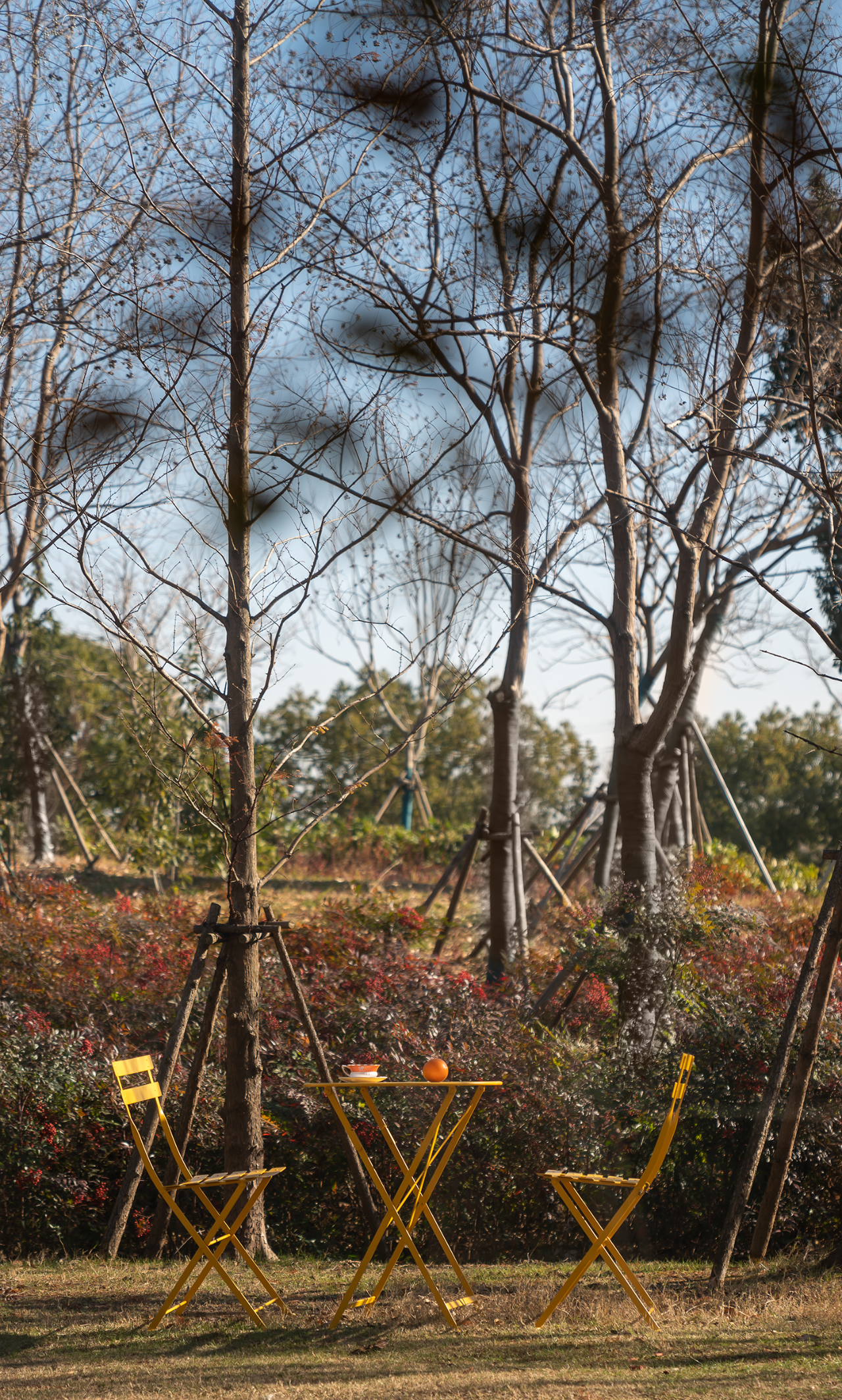 坡地上的家，别墅豪宅丨中国苏州丨李亚芹-8