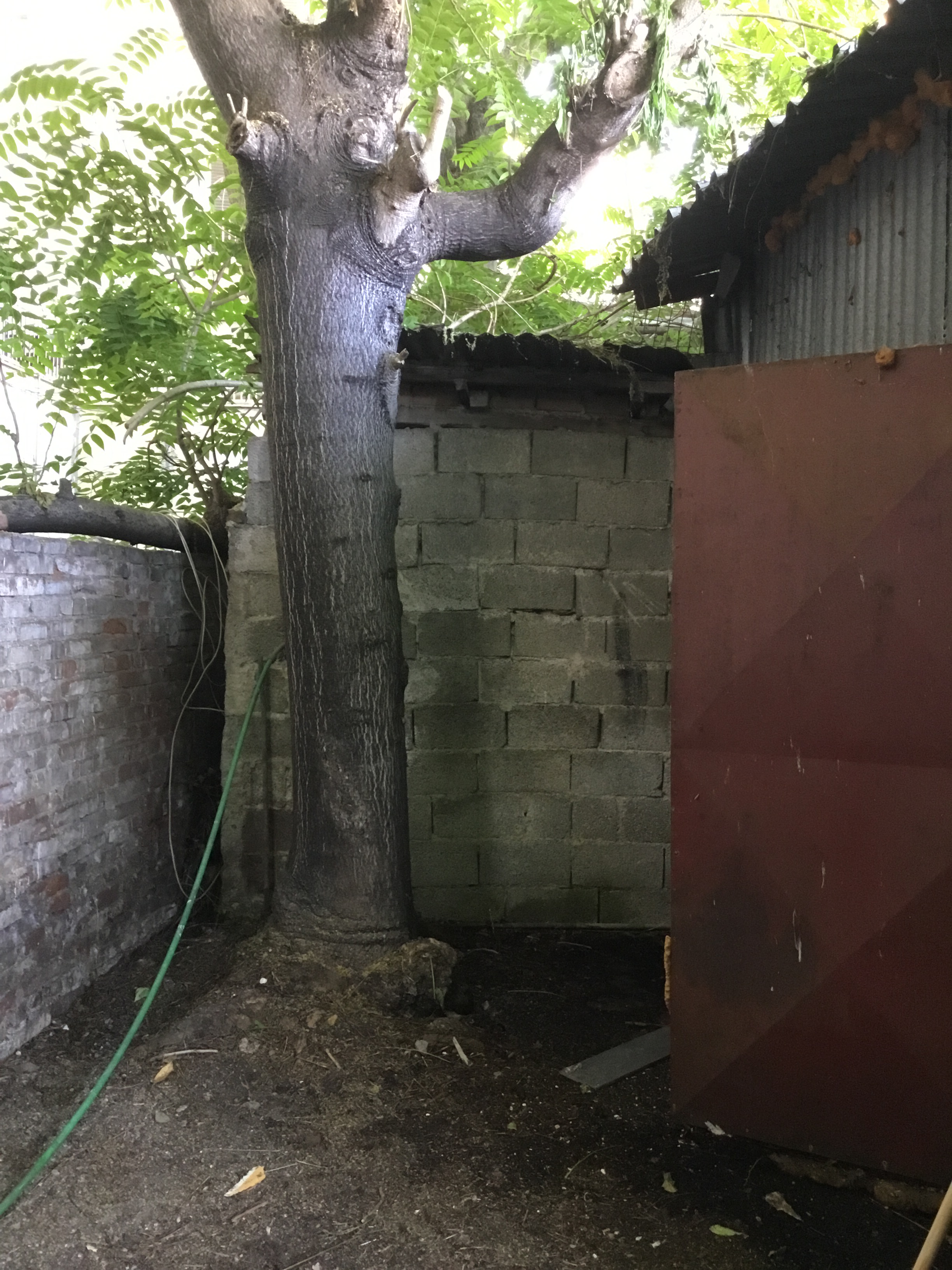 ΑΝΑΚΑΙΝΙΣΗ ΒΙΒΛΙΟΠΩΛΕΙΟΥ: ΠΡΙΝ ΚΑΙ ΜΕΤΑ-36