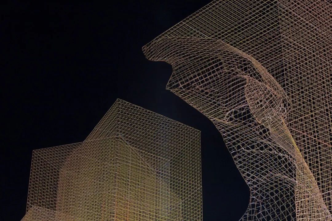 骶骨的；骶部的丨意大利丨Edoardo Tresoldi-131