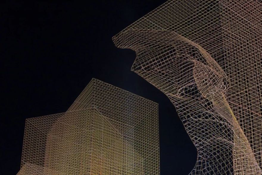 骶骨的;骶部的丨意大利丨Edoardo Tresoldi-131