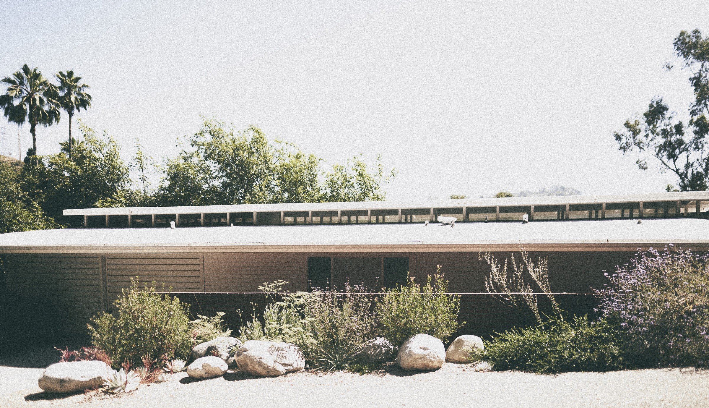 门前野趣丨TERREMOTO-46