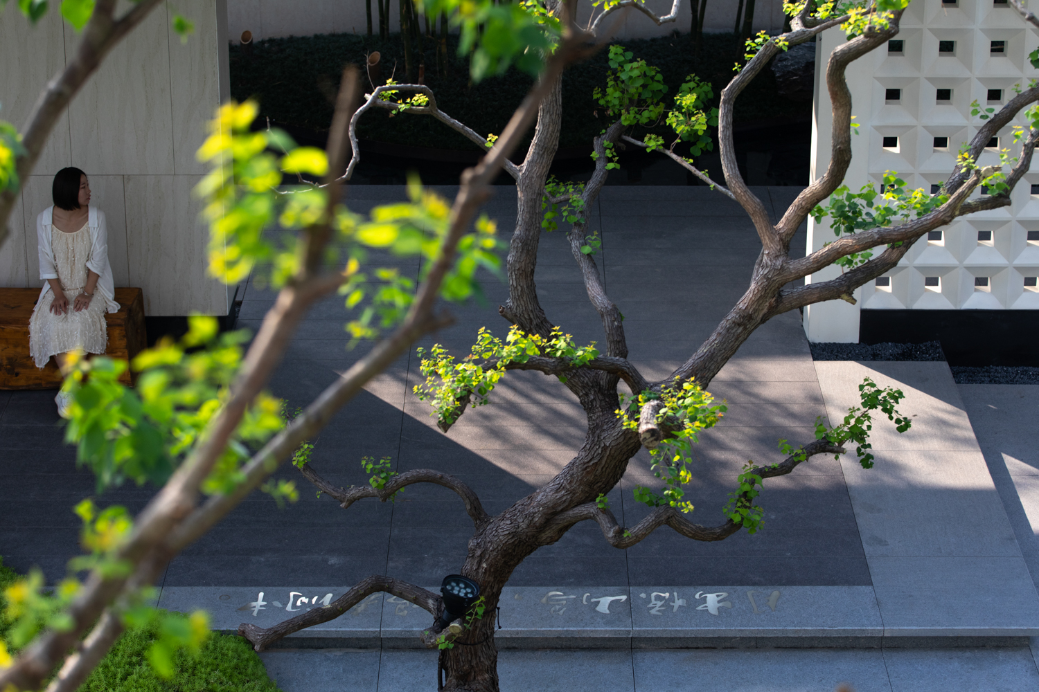 香港置地卓越集团·林山郡-51