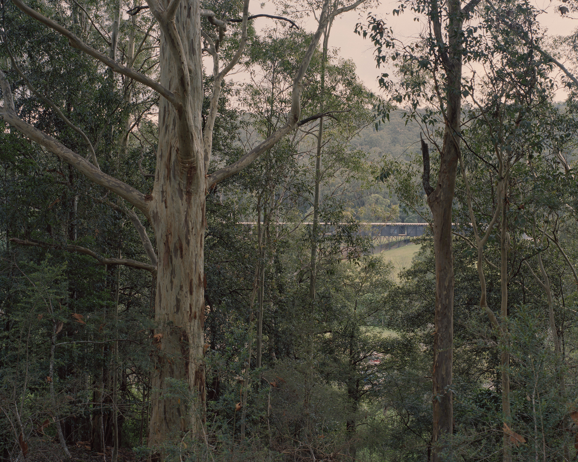 澳洲藝術秘境：Bundanon 藝術博物館與吊橋，建築與地景相互呼應，創造與自然共融的博物館體驗，體現澳洲 Wodi Wodi 與 Yuin 原民文化 | FAM-10