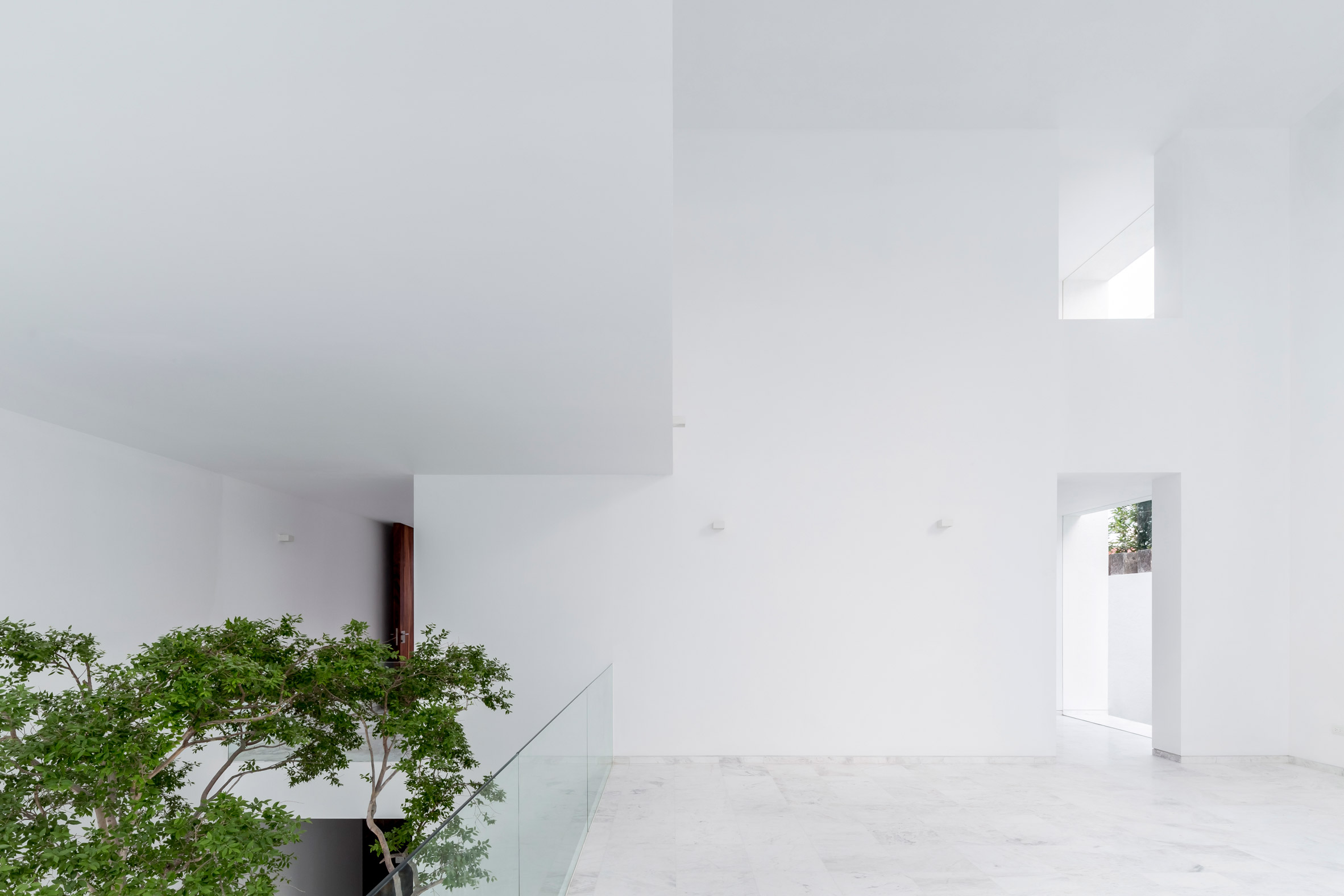 Abraham Cota Paredes' inward-looking Cave House features huge window to tree-planted atrium-12