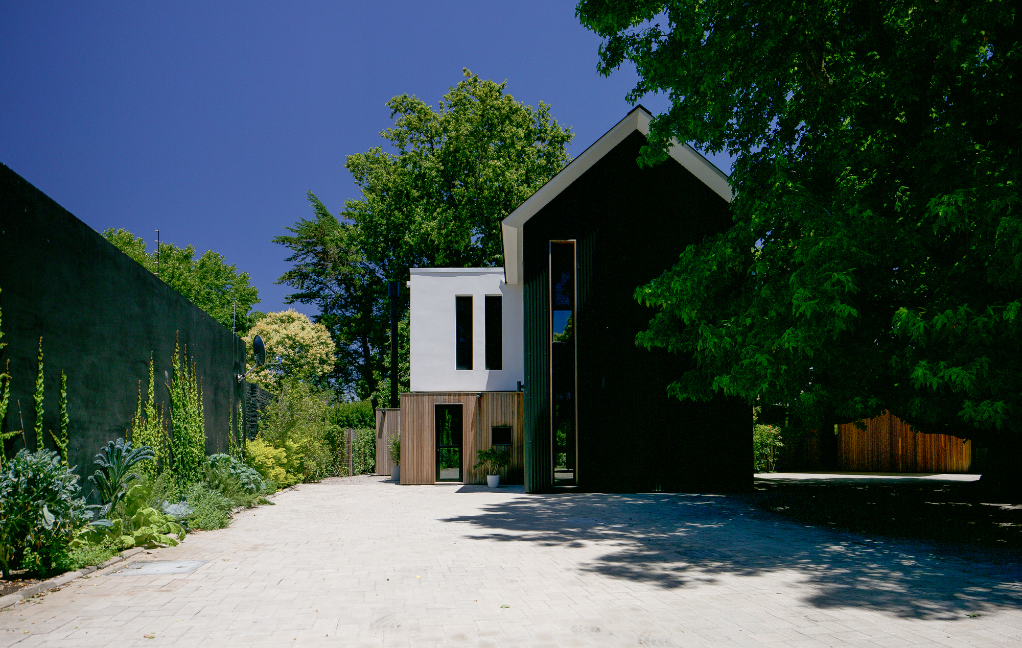 Residencial Murillo · 融入自然的现代别墅设计-17