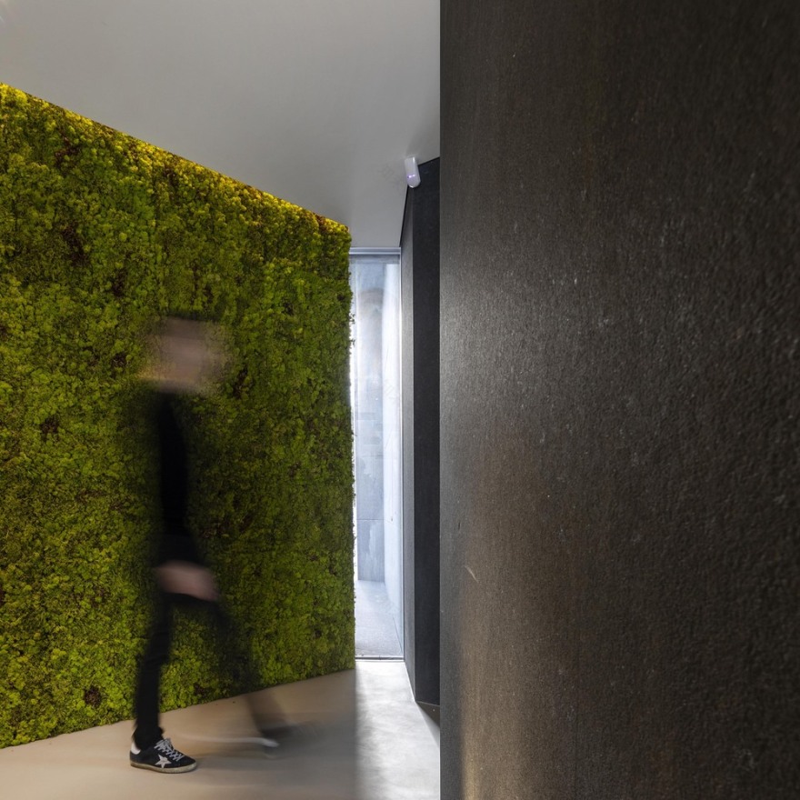 Diamond Tree(钻石树)-13