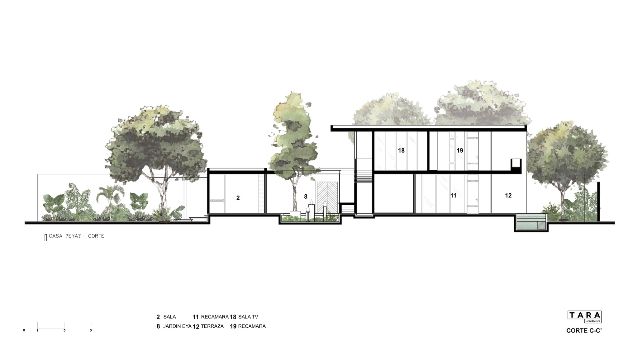 艾雅之家丨墨西哥丨TARA Arquitectura-22