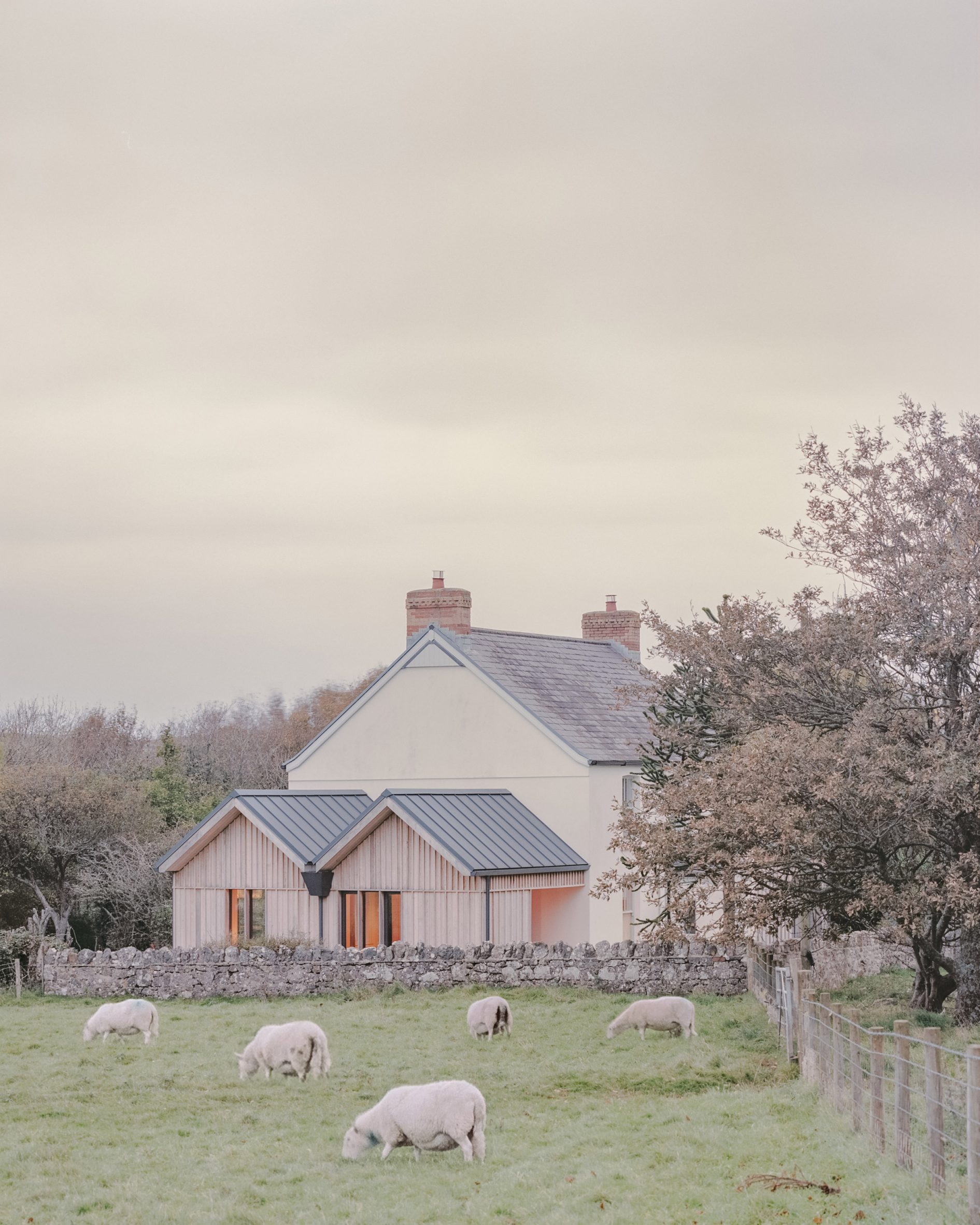 Delfyd Farmhouse扩建项目丨英国威尔士丨Rural Office-3