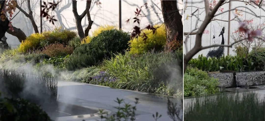 上海华发建发·缦云（示范区）丨中国上海丨深圳市派澜景观规划设计有限公司-68
