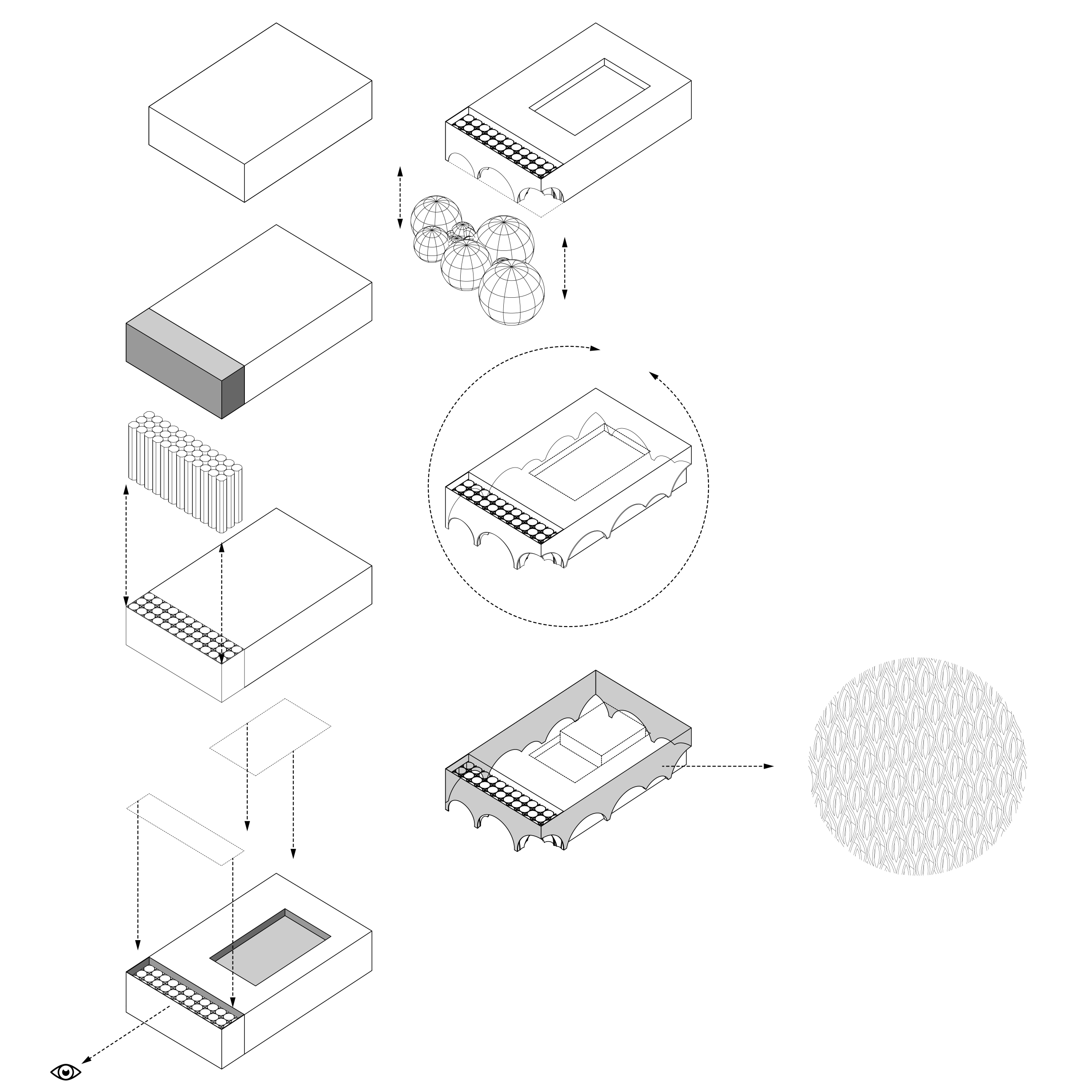 丨叙利亚丨Conser Syria-11