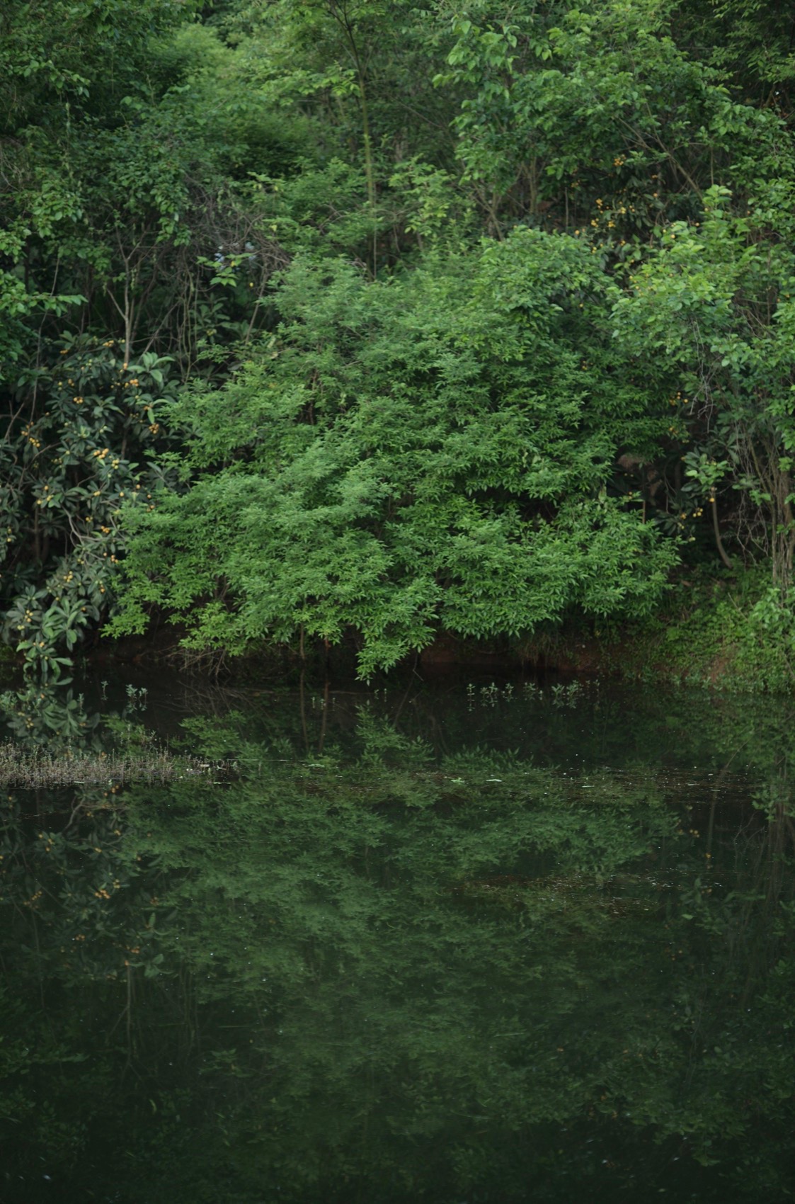 麓野公园丨中国成都丨四川乐道景观设计有限公司-220