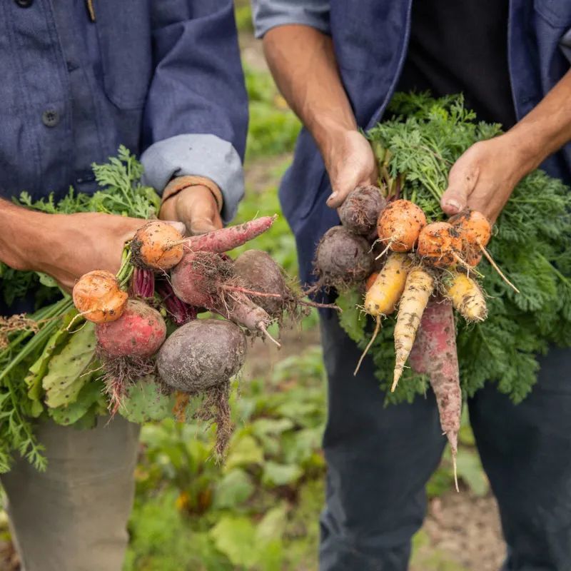 野花农场度假村丨美国纽约丨Auberge Resorts Collection-12