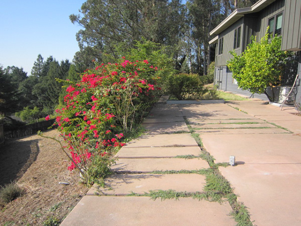 唐·卡罗尔景观效果图-2