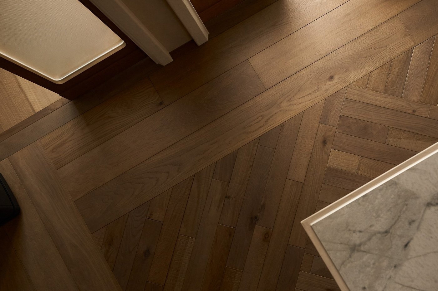 解构人猫共生的无界哲学-22