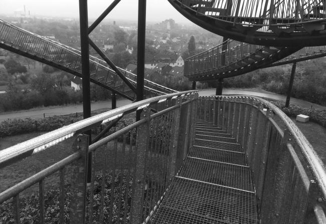 “老虎与乌龟”丨德国丨德国艺术家乌尔里希·根茨和海克·穆特-16