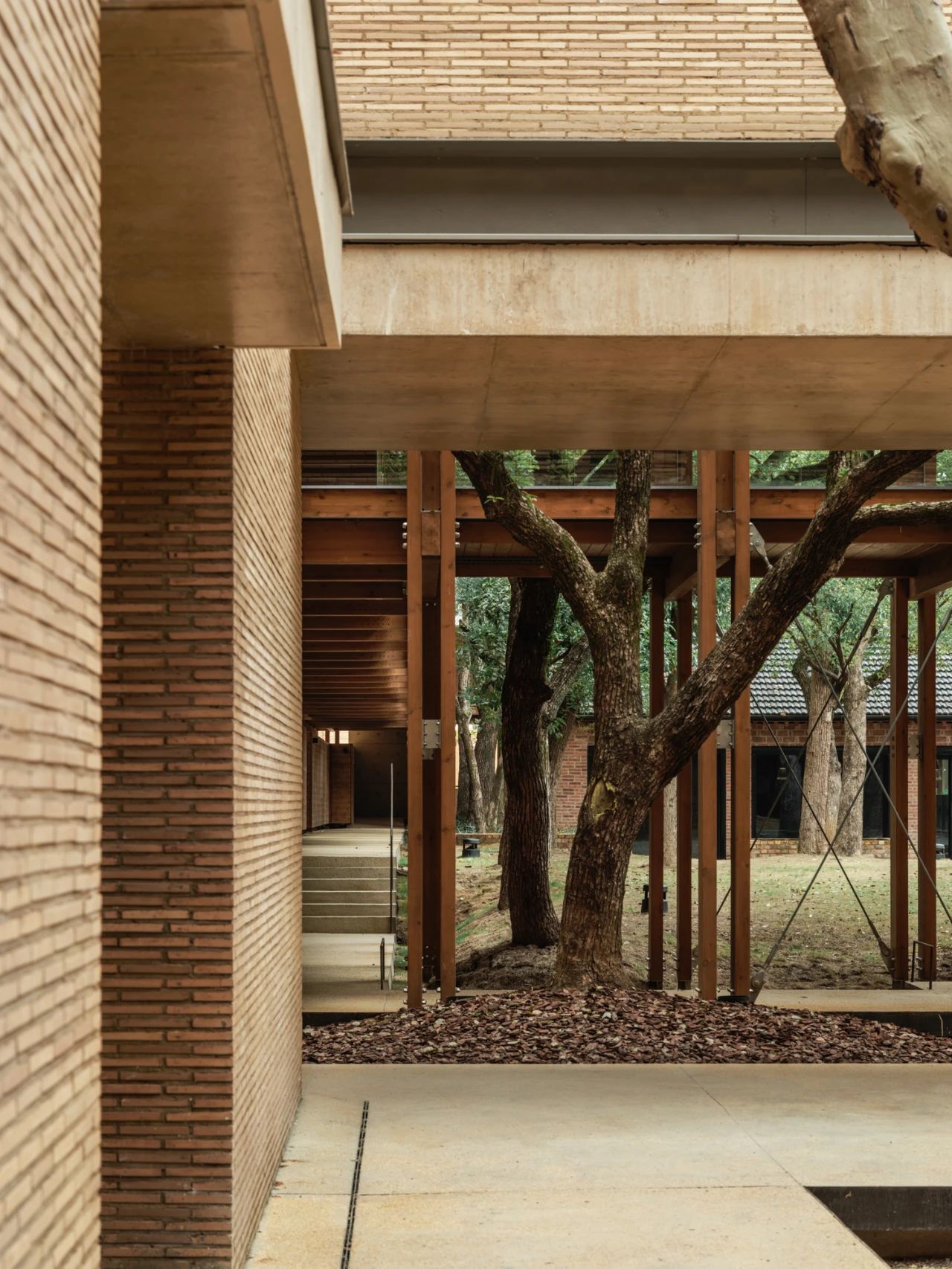 景德镇川上行（景仰书院）丨中国景德镇丨直向建筑-116