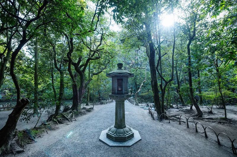 唐招提寺丨日本丨鉴真师徒-16