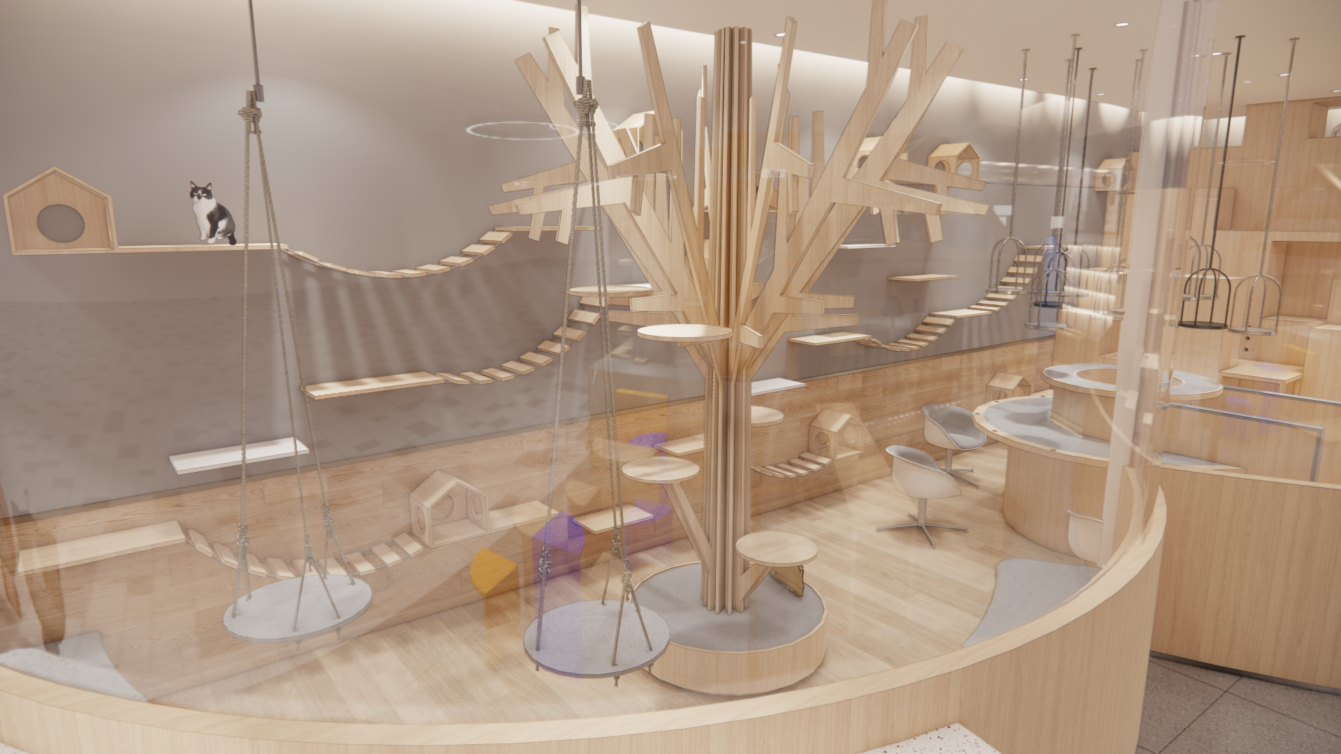 江西九江猫咖宠物店丨中国九江丨群建装饰-10