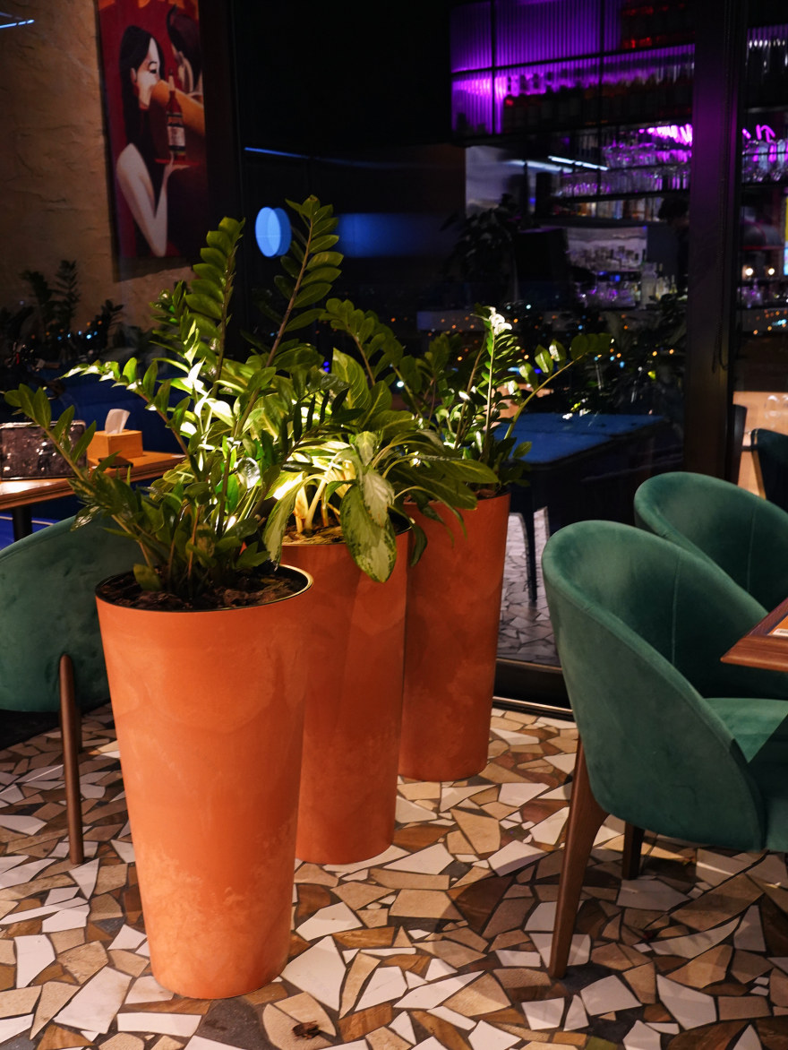 帕尔马干酪餐厅丨Sergiy Sarana等6人-43