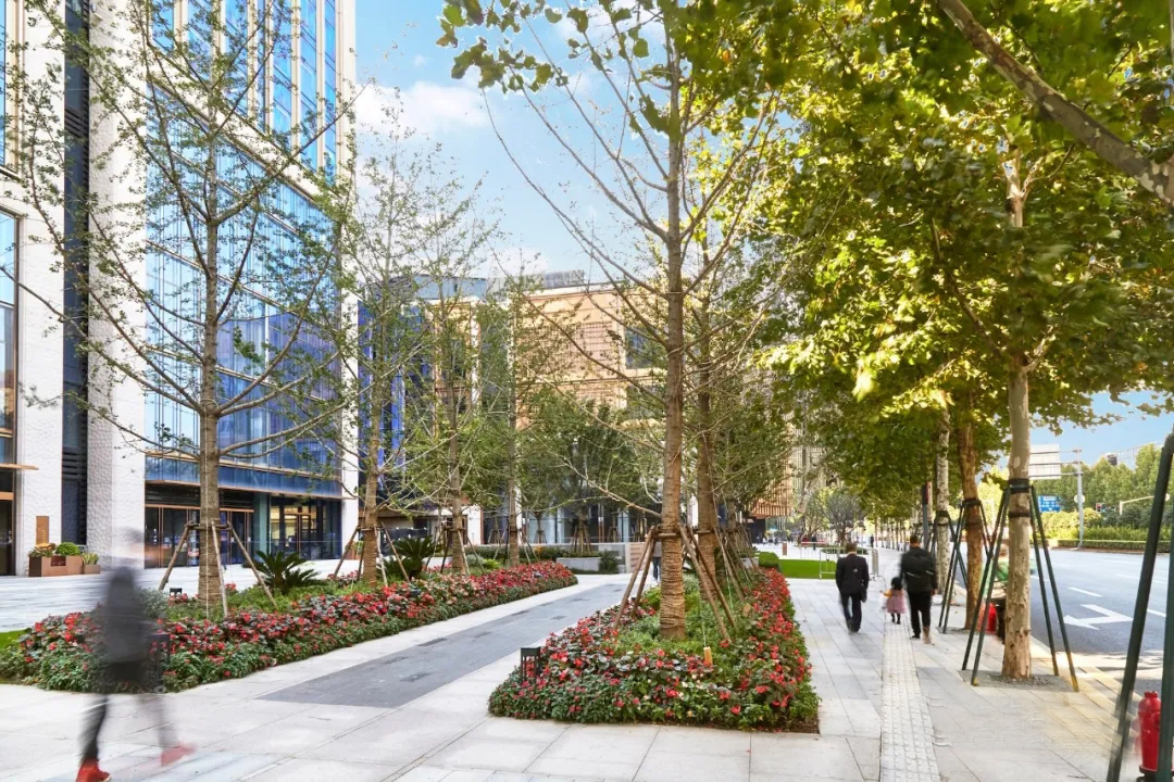 上海 BFC 外滩金融中心丨中国上海丨TOA 诺风景观-22