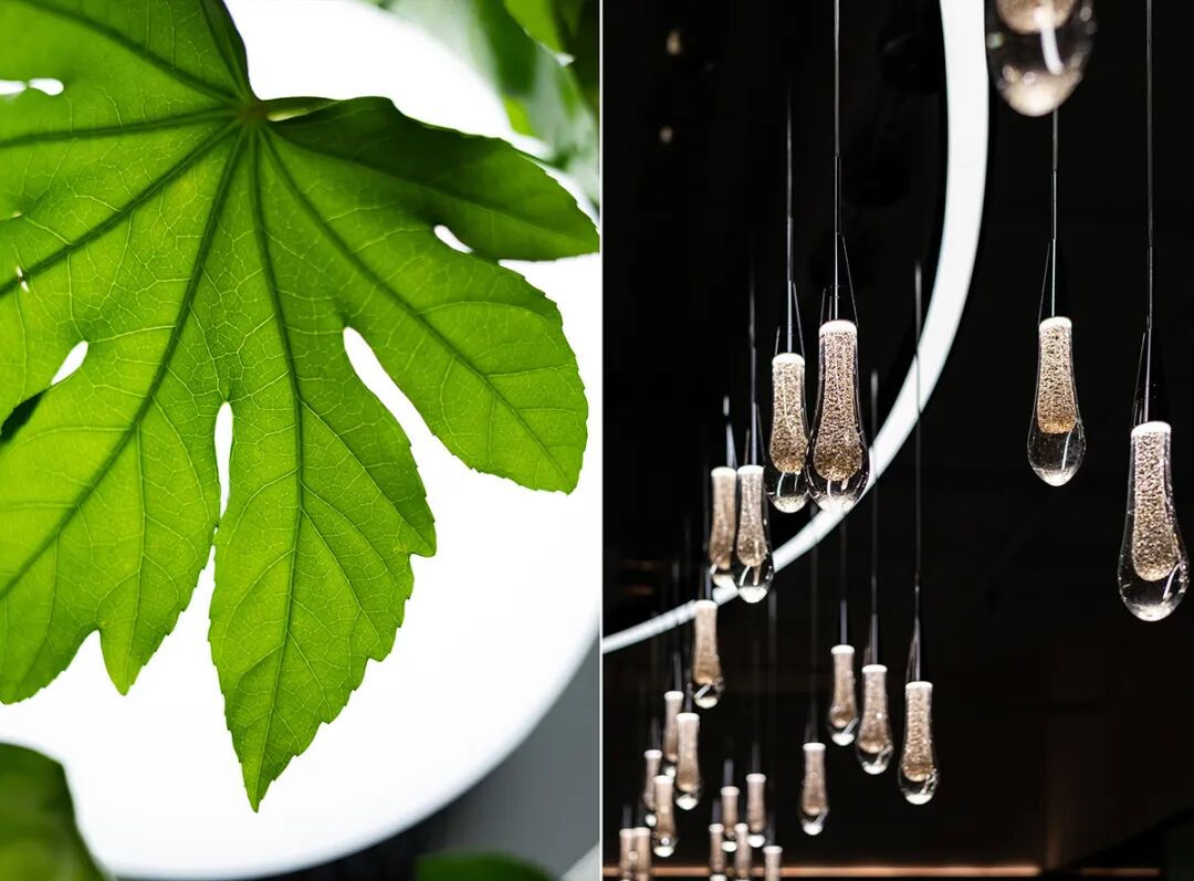 BASF基辅办公室丨乌克兰基辅丨MEYT-8