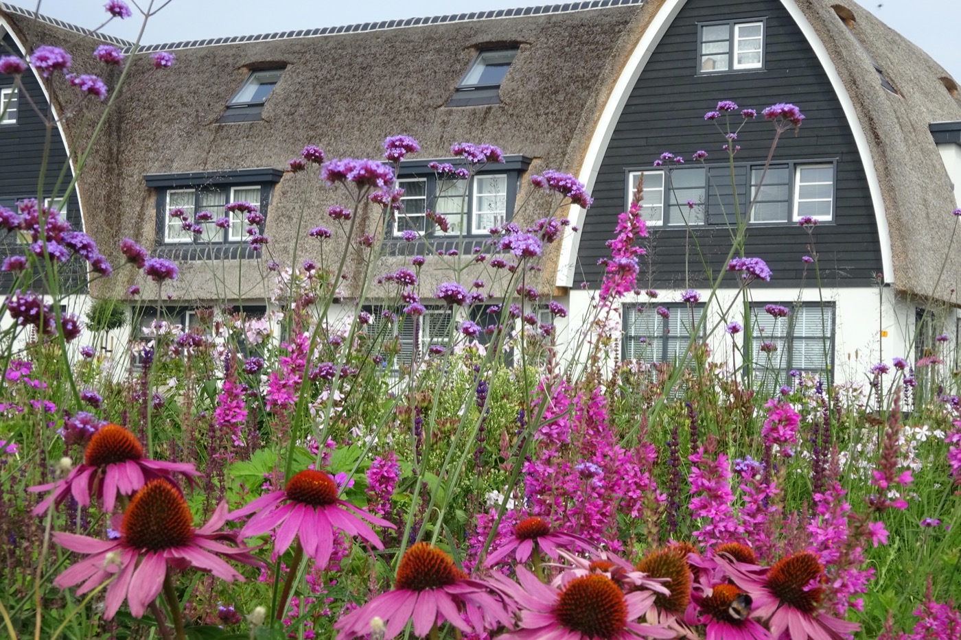 荷兰线性公园丨LOOSvanVLIET-23