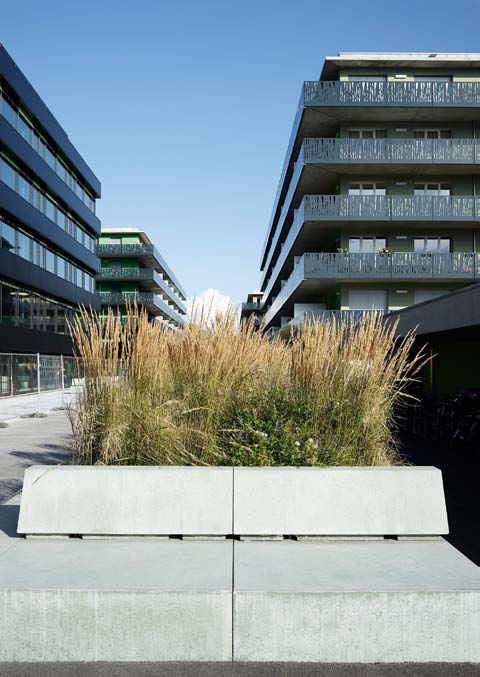 丨瑞士日内瓦丨PLQ竞赛前三名获得者（未提及具体名称）-14