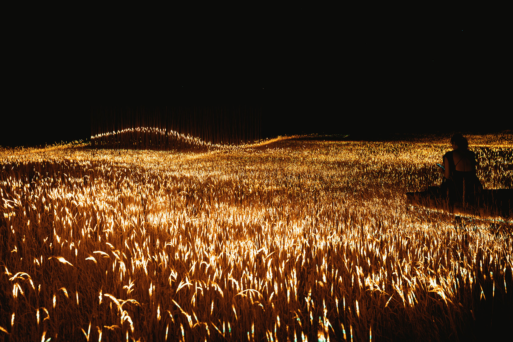 Phorest灯光装置丨1024 architecture-15