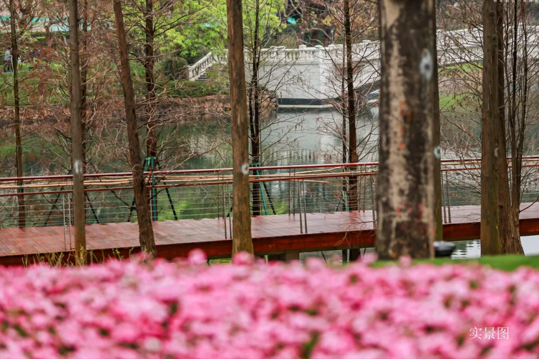 “秀”出好房子丨广州观樾：坐拥稀缺湖景，尽享隐奢生活-23