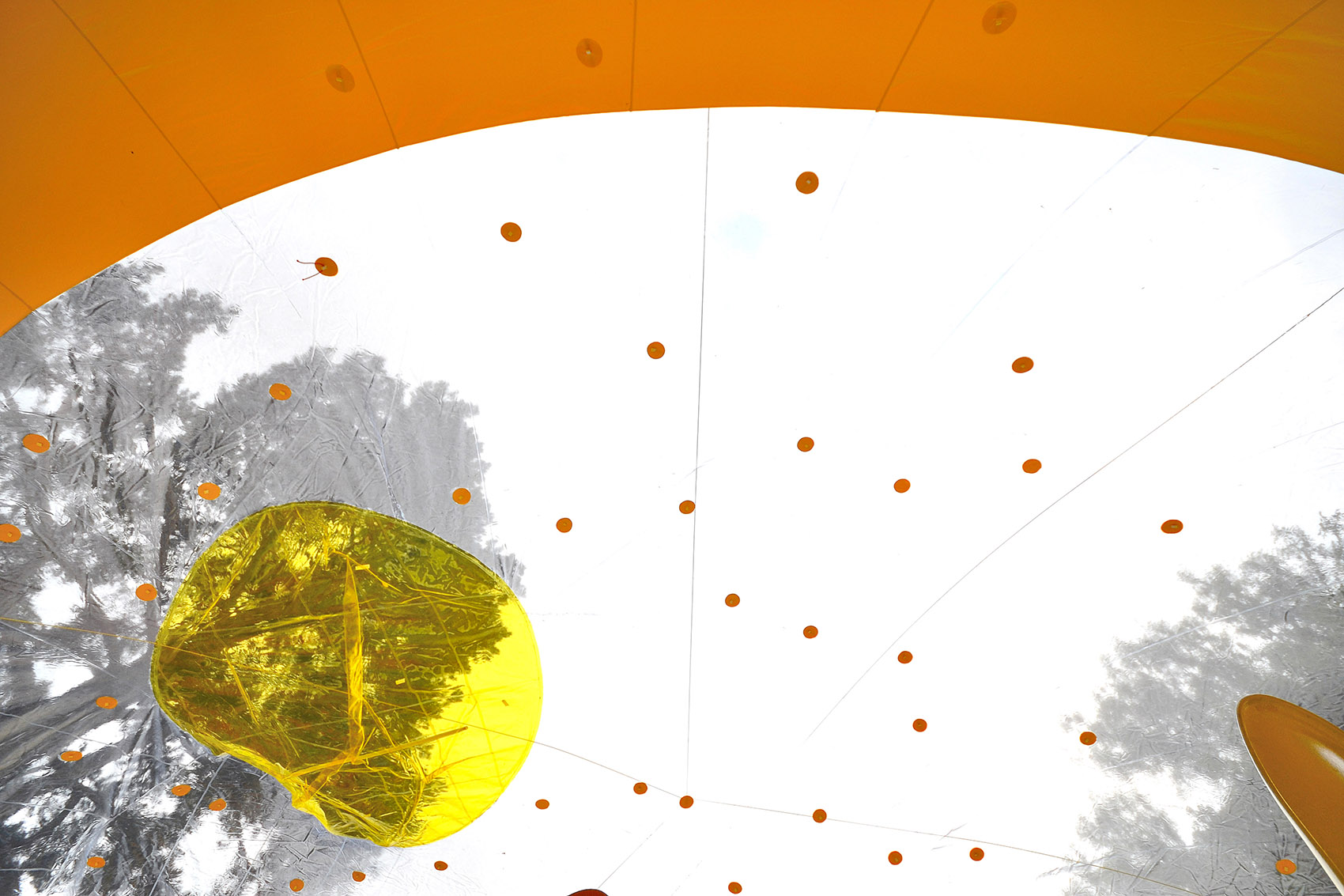 东伦敦的黄色大泡泡 / Dosis-69