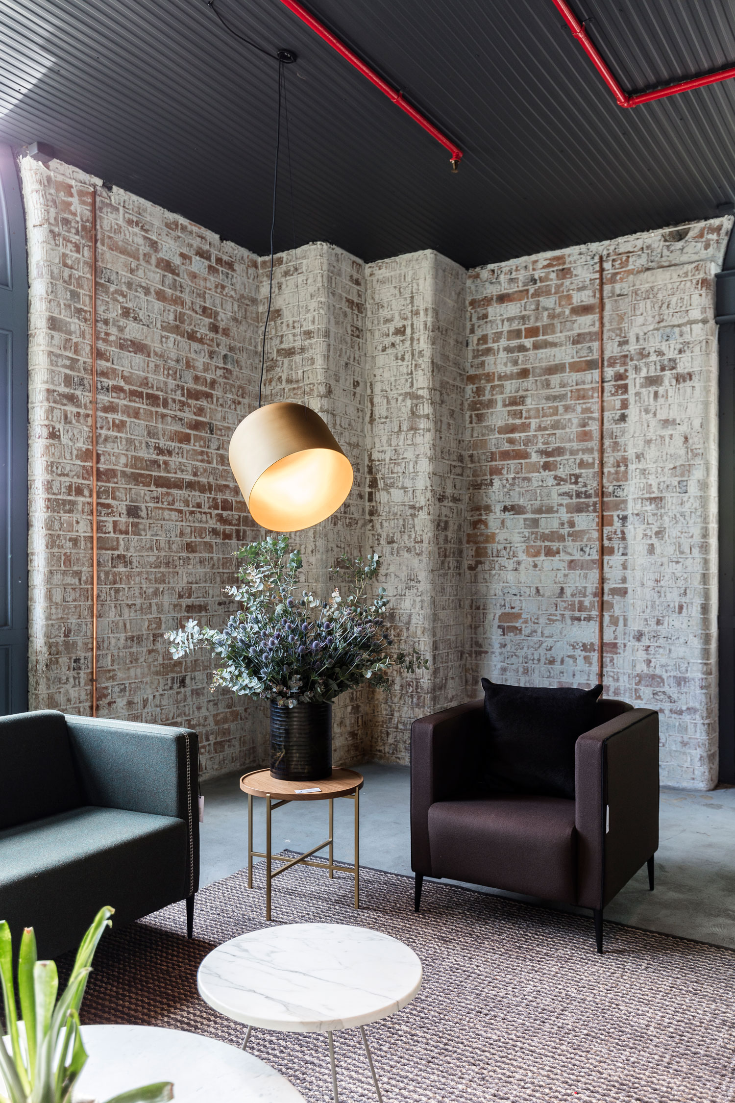 悉尼 Catapult 设计公司开设新展厅,呈现澳大利亚设计魅力-34