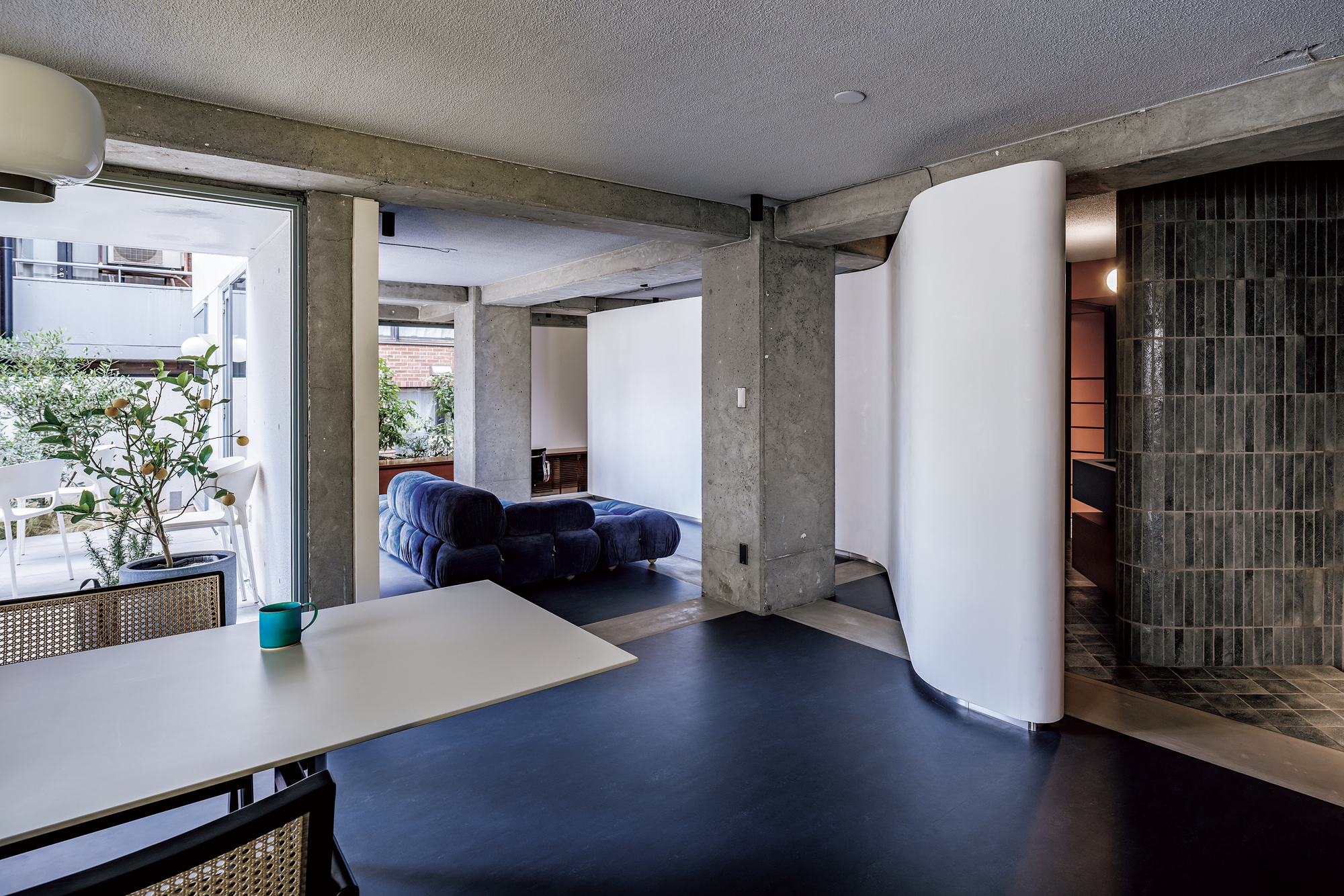 Villa Serena 204 翻新项目丨日本东京丨YNAS-30