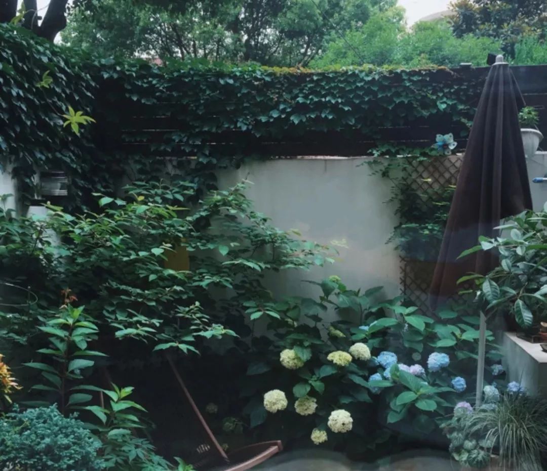 一对设计师的60平米房子，住出庭院别墅的感觉！-46