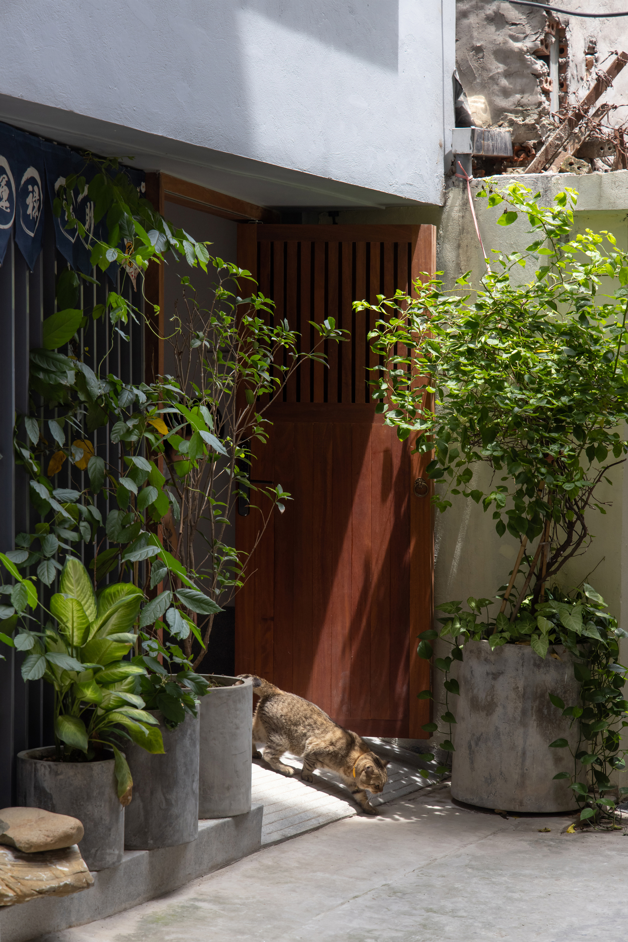 萝莉屋丨越南河内丨t + m design office-33