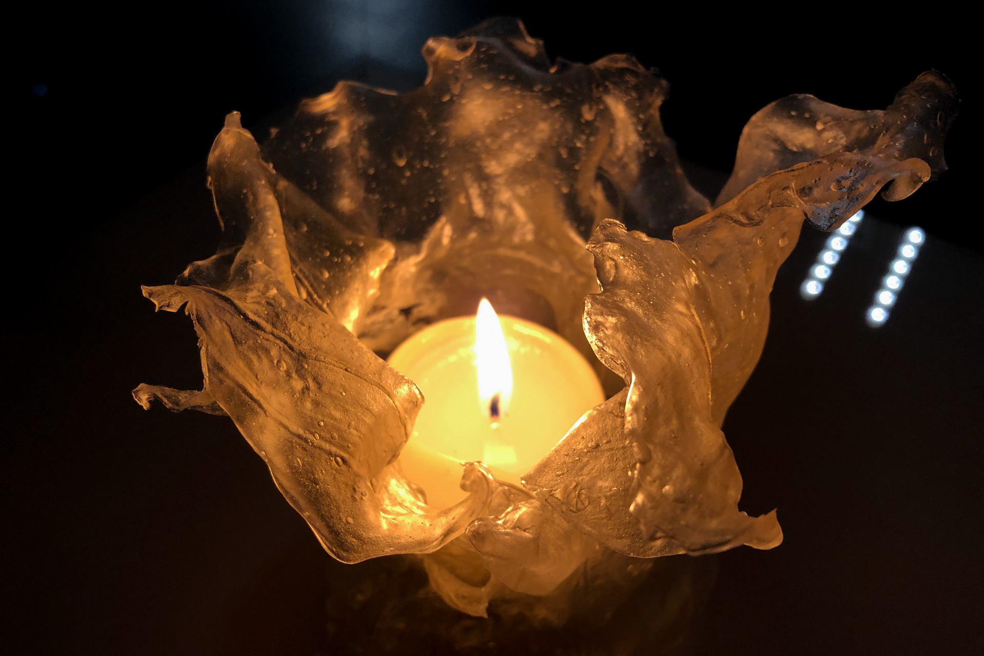 Equino·工作坊和 E·展览丨德国杜塞尔多夫丨杜塞尔多夫应用科技大学设计学院-16