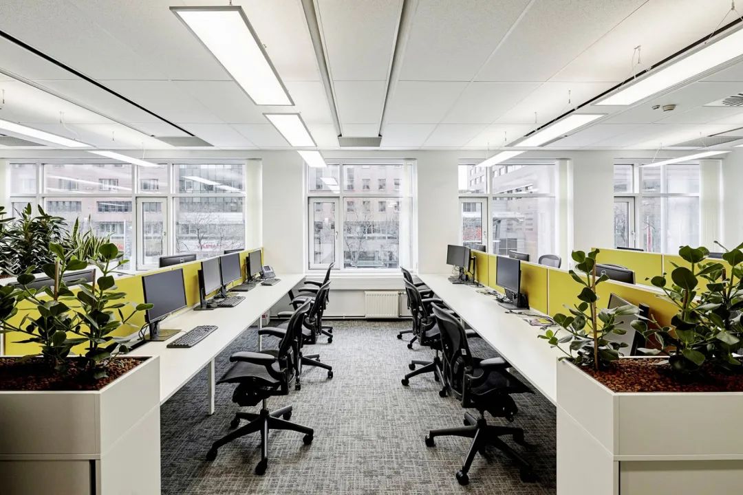 布达佩斯 EY 办公室 | 绿色社交工作空间-21