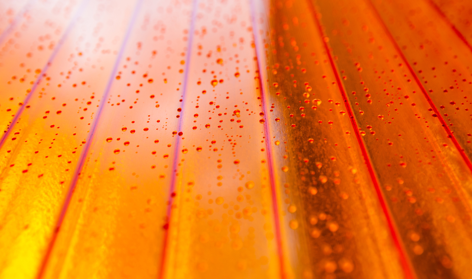 Prove· 公司新总部-19