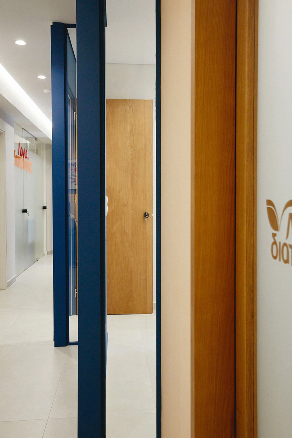 Logo Diatrofis 营养办公室设计丨希腊雅典-19