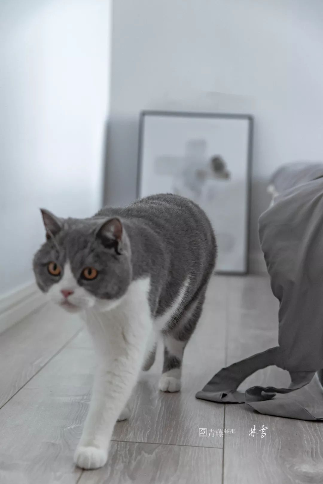 天籁福 100㎡理想家 | 林雪设计打造闺蜜聚会空间-28