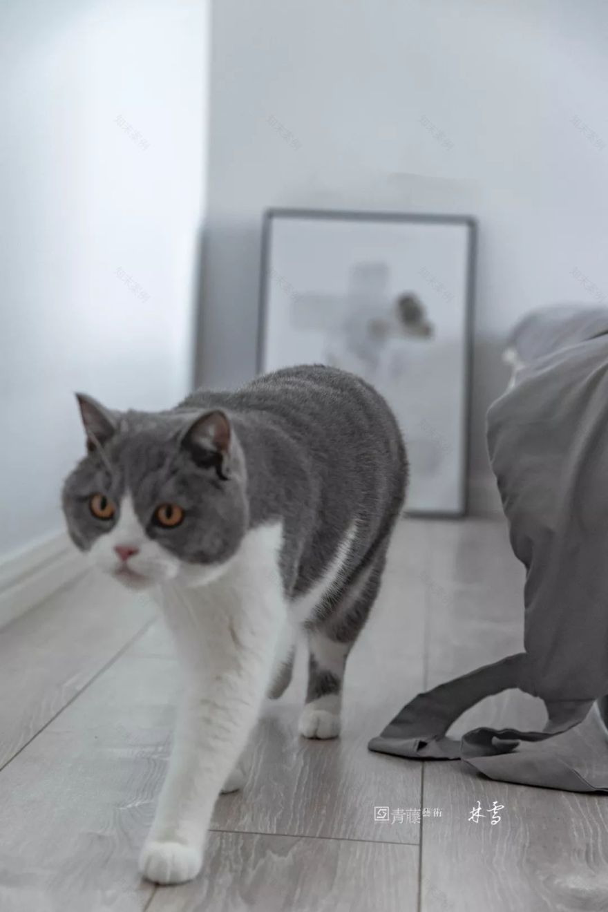 天籁福 100㎡理想家 | 林雪设计打造闺蜜聚会空间-28