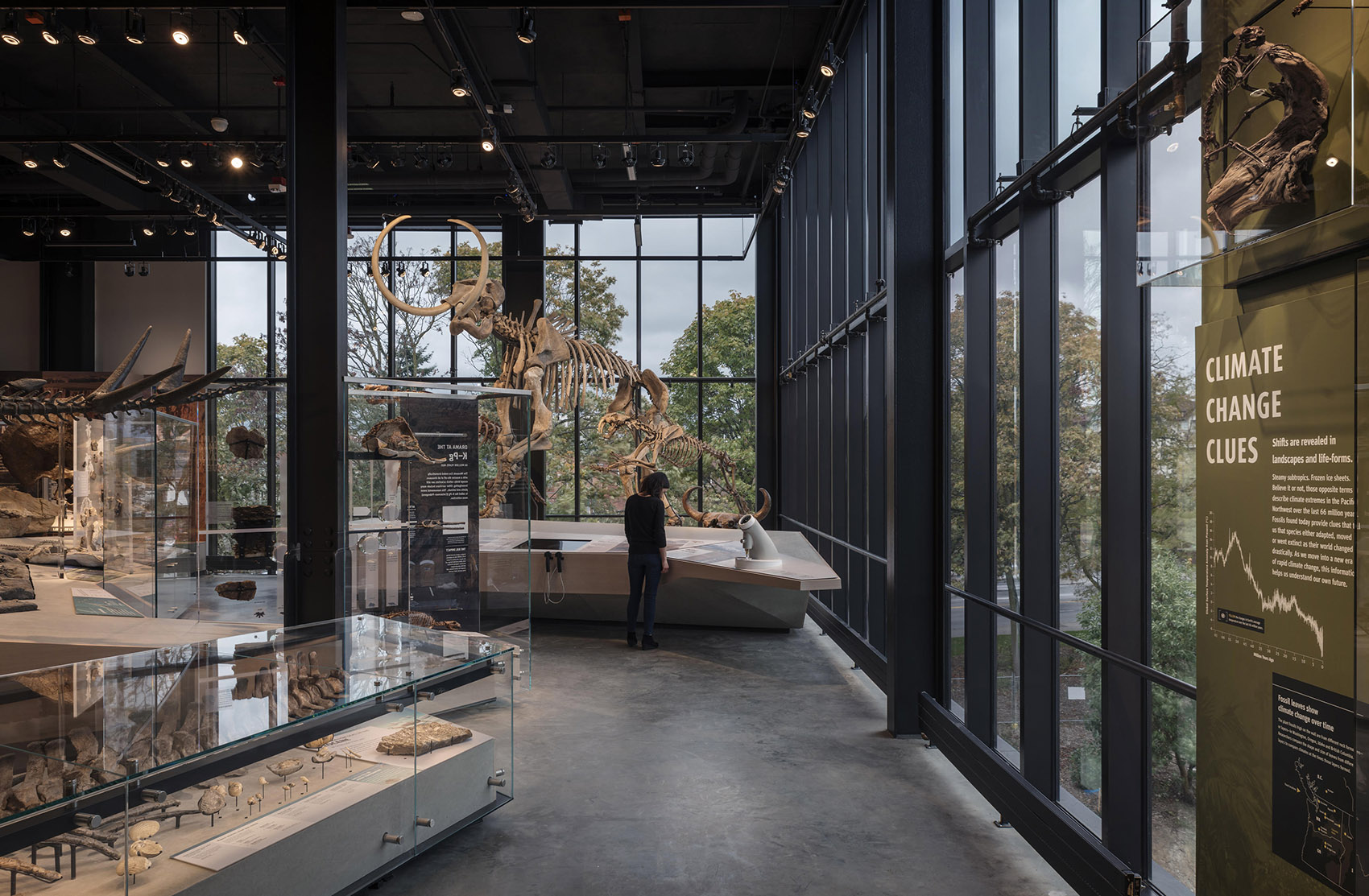 伯克自然历史文化博物馆,西雅图 / Olson Kundig Architects-19